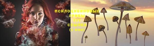 хмурый Дмитровск