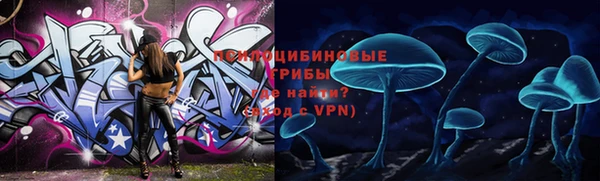 a pvp Дмитриев