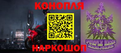 прущие крисы Гатчина