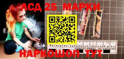 прущие крисы Гатчина