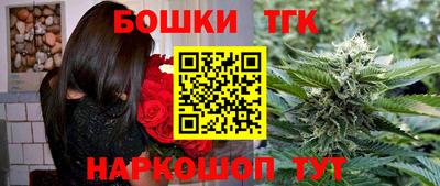 СК Гагарин