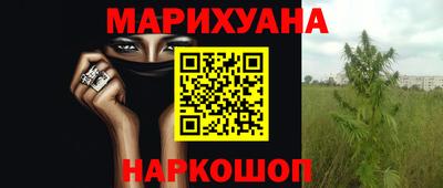 прущие крисы Гатчина