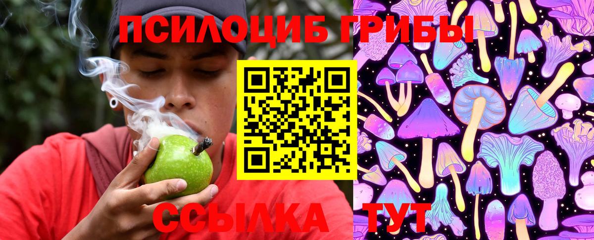 Псилоцибиновые грибы MAGIC MUSHROOMS Кольчугино