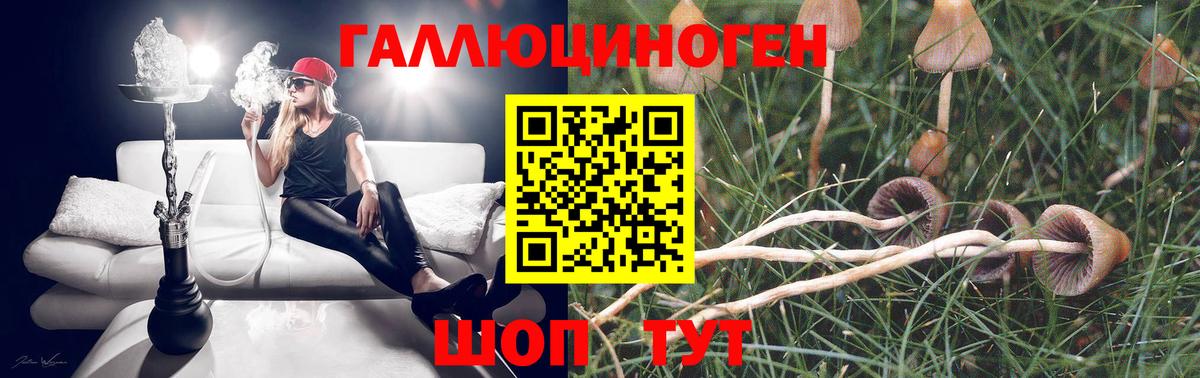 Кольчугино  наркотики  Вход с VPN  Псилоцибиновые грибы Magic Shrooms 